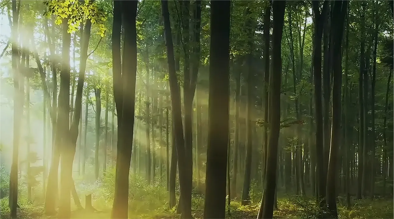 ‌ثنائي. عنا‌