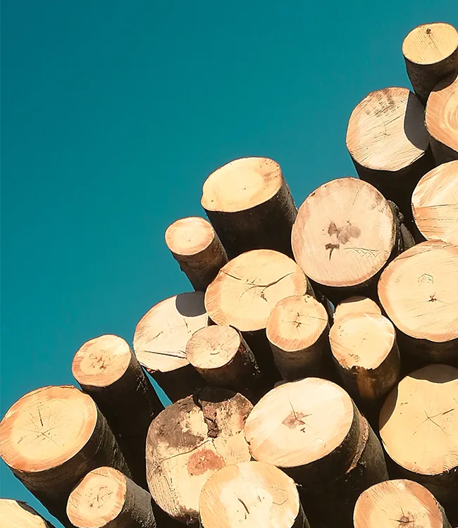 أعمال الخشب المقطوع